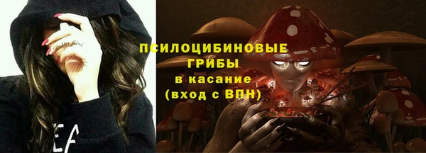 a pvp Ладушкин