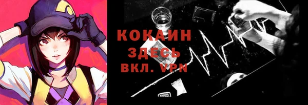 индика Дегтярск