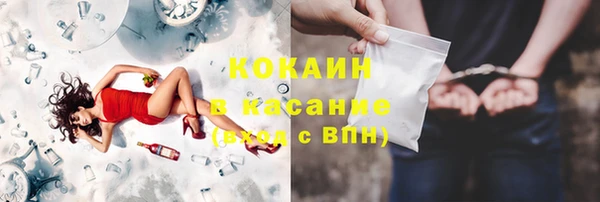 индика Дегтярск