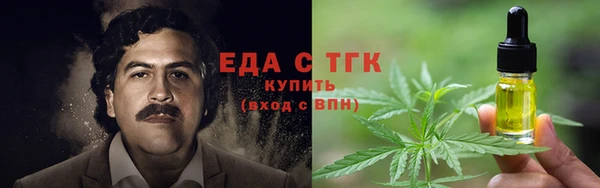 индика Гусь-Хрустальный