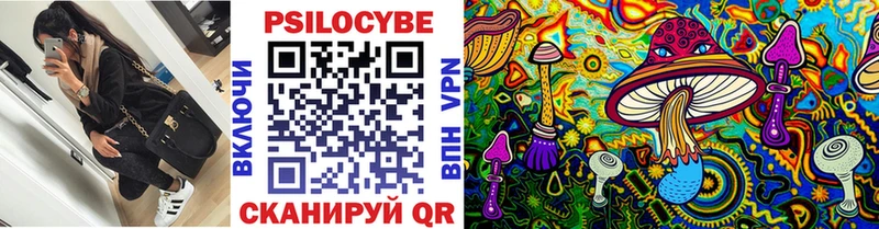 Псилоцибиновые грибы Psilocybine cubensis  сколько стоит  Дубна 